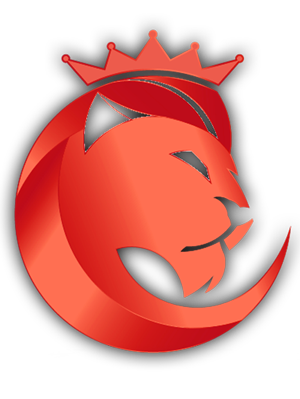 GLADIATOR Web Solutions - O Nama